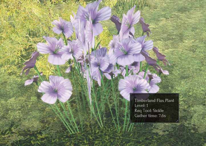File:Flax bush closeup.png