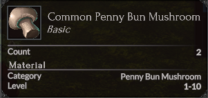 File:CommonPennyBunMushroom2.png