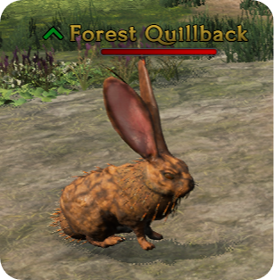 File:ForestQuillback-mod.png