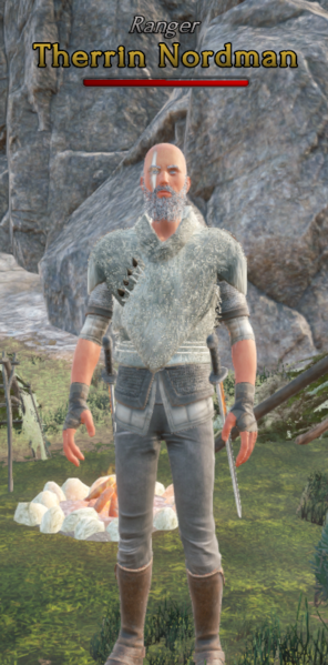File:Therrin Nordman NPC Picture.png