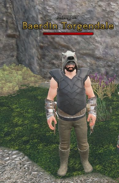 File:NPC BaerdinTorgendale.jpg