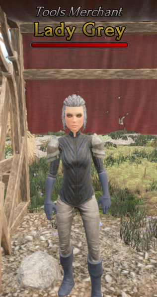 File:Lady Grey NPC Picture.png