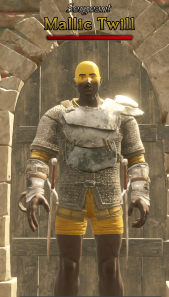 File:Mallic Twill NPC Picture.png