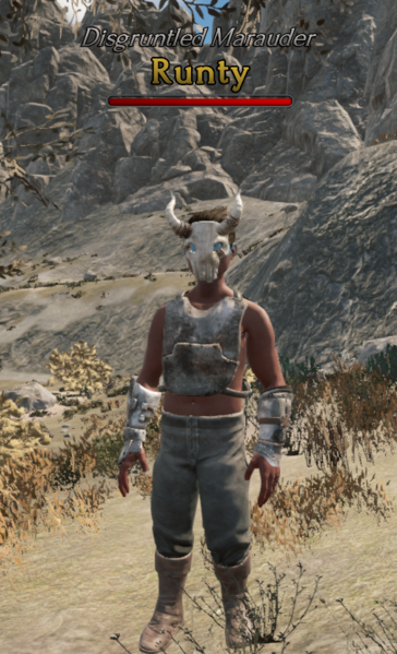 File:Runty NPC Picture.png