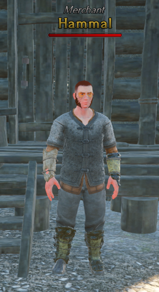 File:NPC Hammal in Meadowlands.png