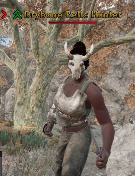 File:Drybone Relic Hunter Picture.png